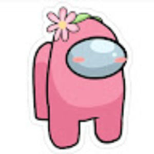 Meet your Posher, El